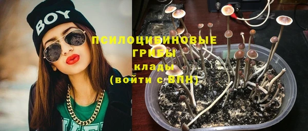 не бодяженный Арсеньев