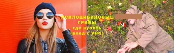 не бодяженный Арсеньев
