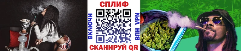 как найти закладки  Усть-Джегута  Канабис гибрид 